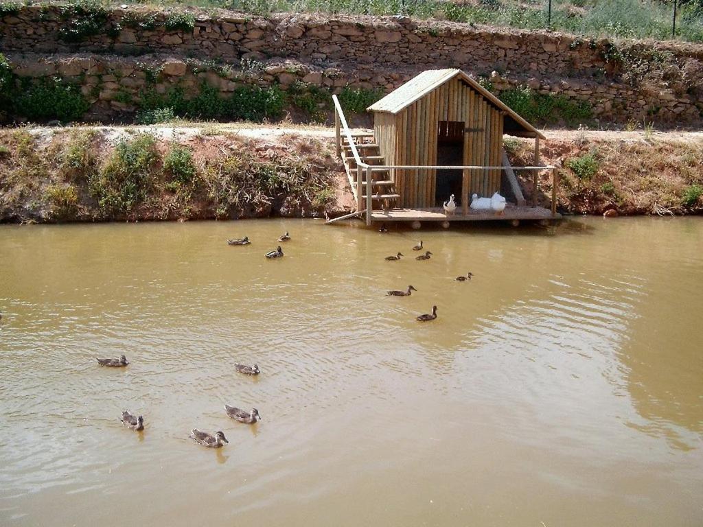 Valonquinta - Agro Hotel & Spa فيلا فلور المظهر الخارجي الصورة