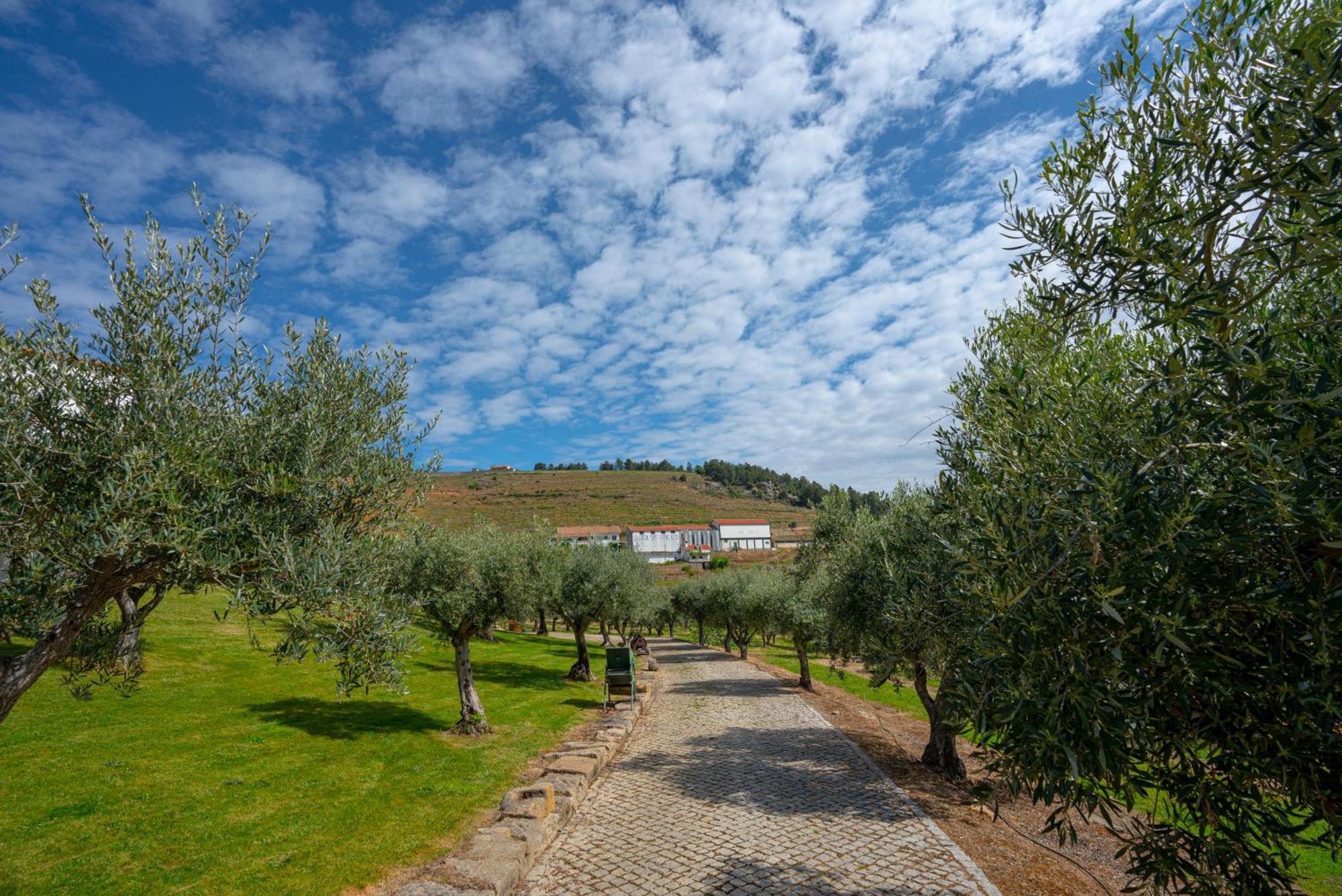 Valonquinta - Agro Hotel & Spa فيلا فلور المظهر الخارجي الصورة