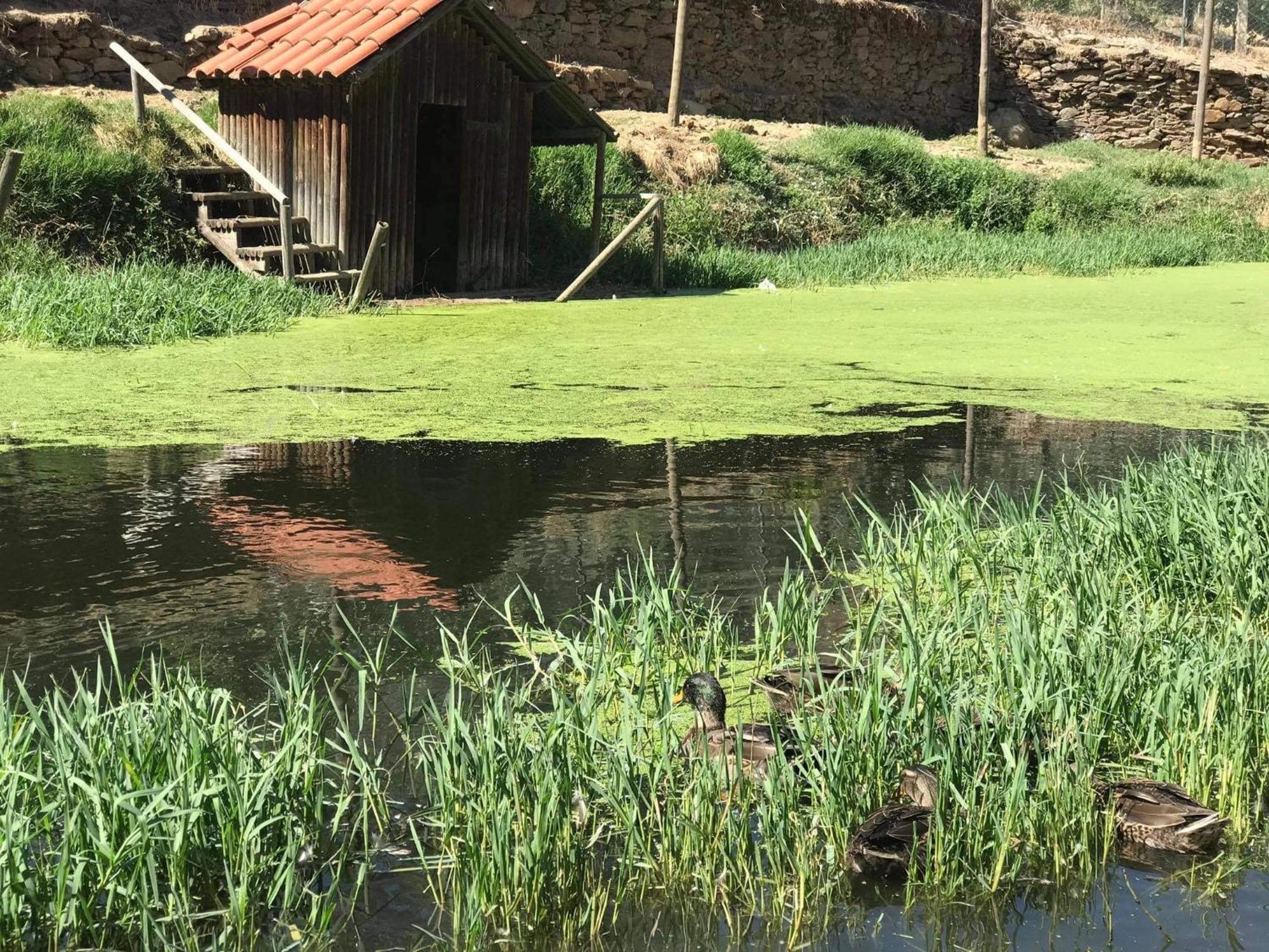 Valonquinta - Agro Hotel & Spa فيلا فلور المظهر الخارجي الصورة